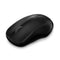 RAPOO 1620 2.4G Wireless Entry Level Mouse